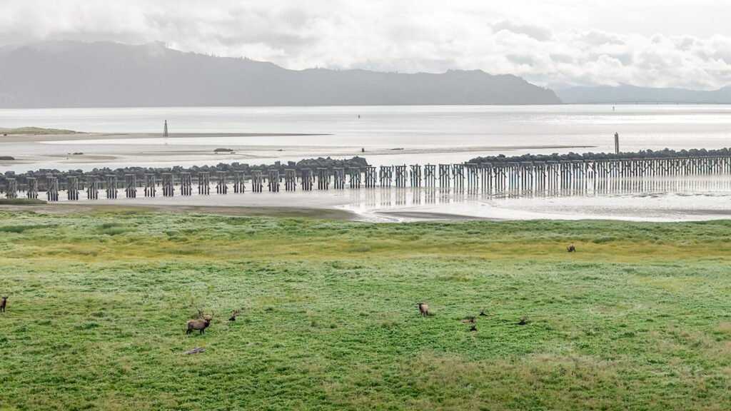 Astoria Oregon aerial drone photography